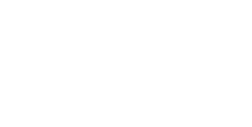 TheusVision